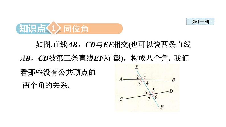 人教版七年级数学下册 5.1.4   同位角、内错角、同旁内角 课件第5页