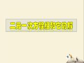 7.1 二元一次方程组和它的解-2021-2022学年七年级数学下册教学课件(华东师大版)