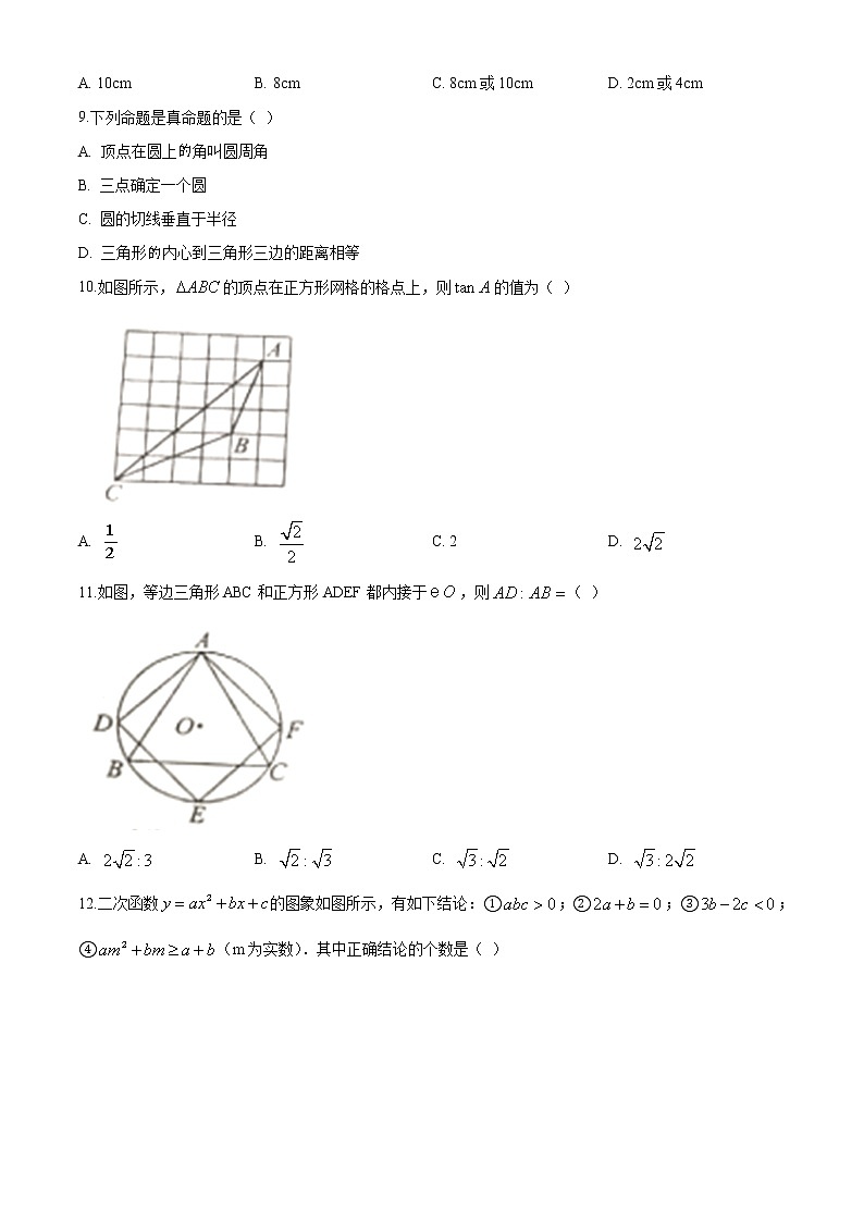 2020届四川省凉山州九年级中考数学真题（word版 含答案）第2页