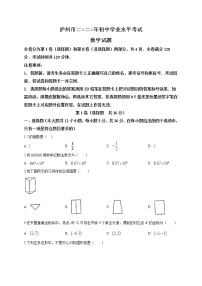 2020届四川省泸州市九年级中考数学真题（word版 含答案）