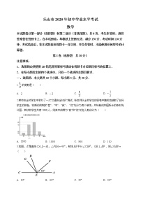 2020届四川省乐山市九年级中考数学真题（word版 含答案）