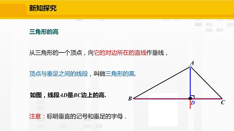 北师大版数学七年级下册课件4.1.4  三角形的高05