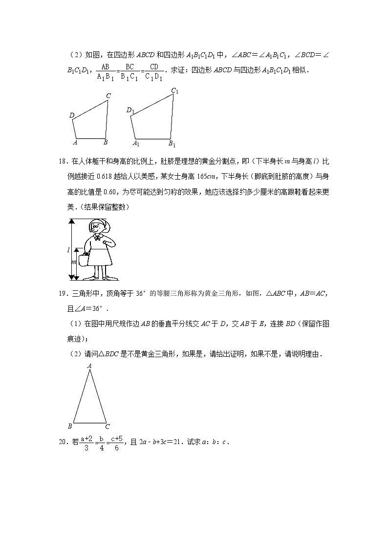 专题01 ： 27.1 图形的相似 - 期末复习专题训练  2021-2022学年人教版数学九年级下册03