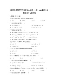 专题09    14.3因式分解 - 期末复习专题训练   2021-2022学年人教版数学八年级上册