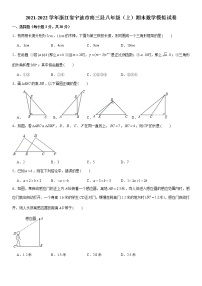 浙江省宁波市南三县2021-2022学年八年级上学期期末数学模拟试卷（word版 含答案）