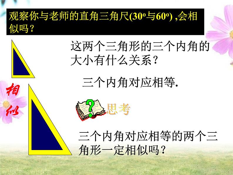 人教版九年级下册 数学 课件 27.2.1相似三角形的判定(共22张PPT)第3页