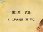 认识无理数PPT课件免费下载