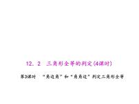 初中数学人教版八年级上册12.2 三角形全等的判定背景图ppt课件