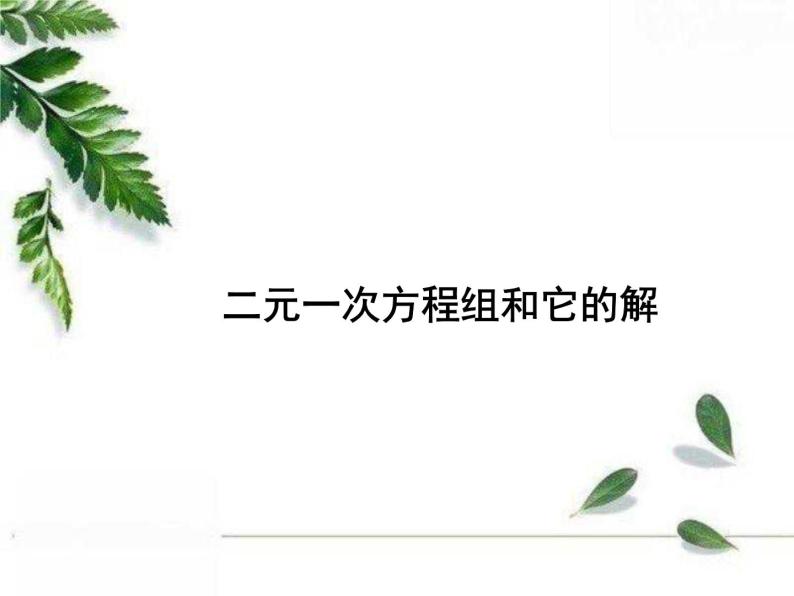 华师大版数学七年级下册第七章《二元一次方程组和它的解》课件01