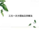 华师大版数学七年级下册第七章《三元一次方程组及其解法》同步课件