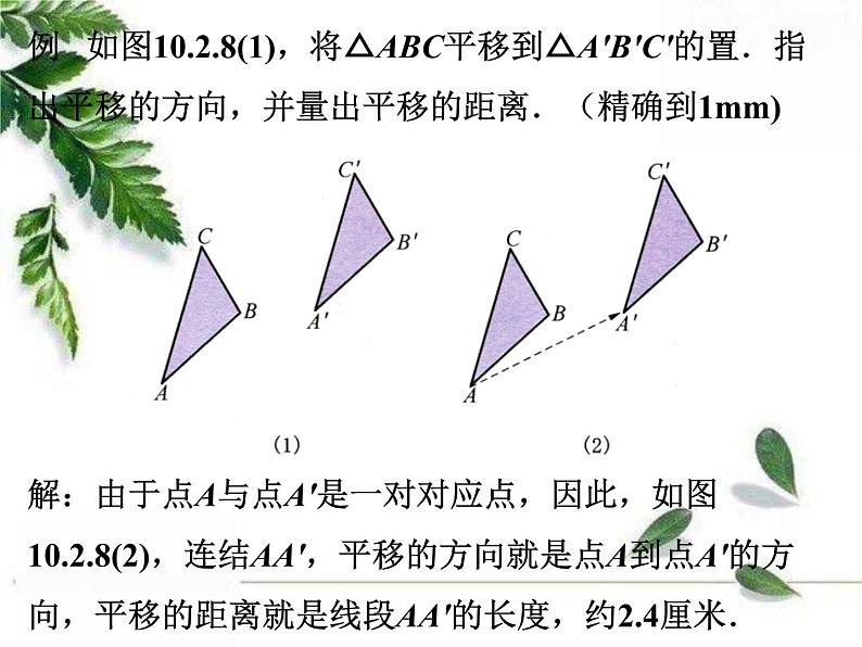 华师大版数学七年级下册第十章 《平移的特征》同步课件05