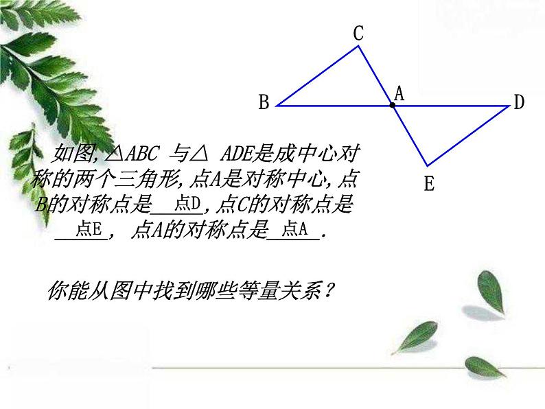 华师大版数学七年级下册第十章《中心对称》课件.ppt05