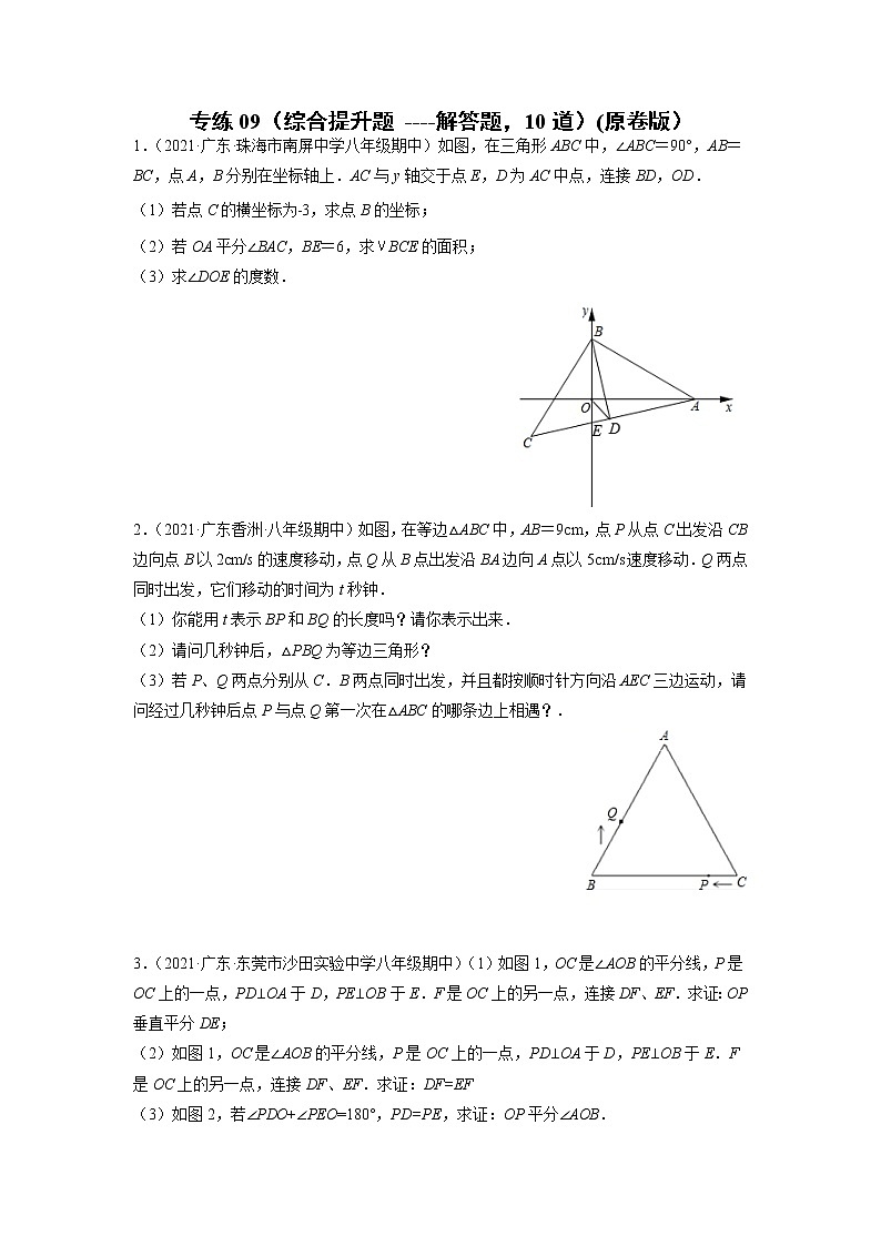 专练09（综合提升题---解答题，10道）（原卷版）-2021-2022学年八年级数学上学期期末考点必练（含解析）第1页