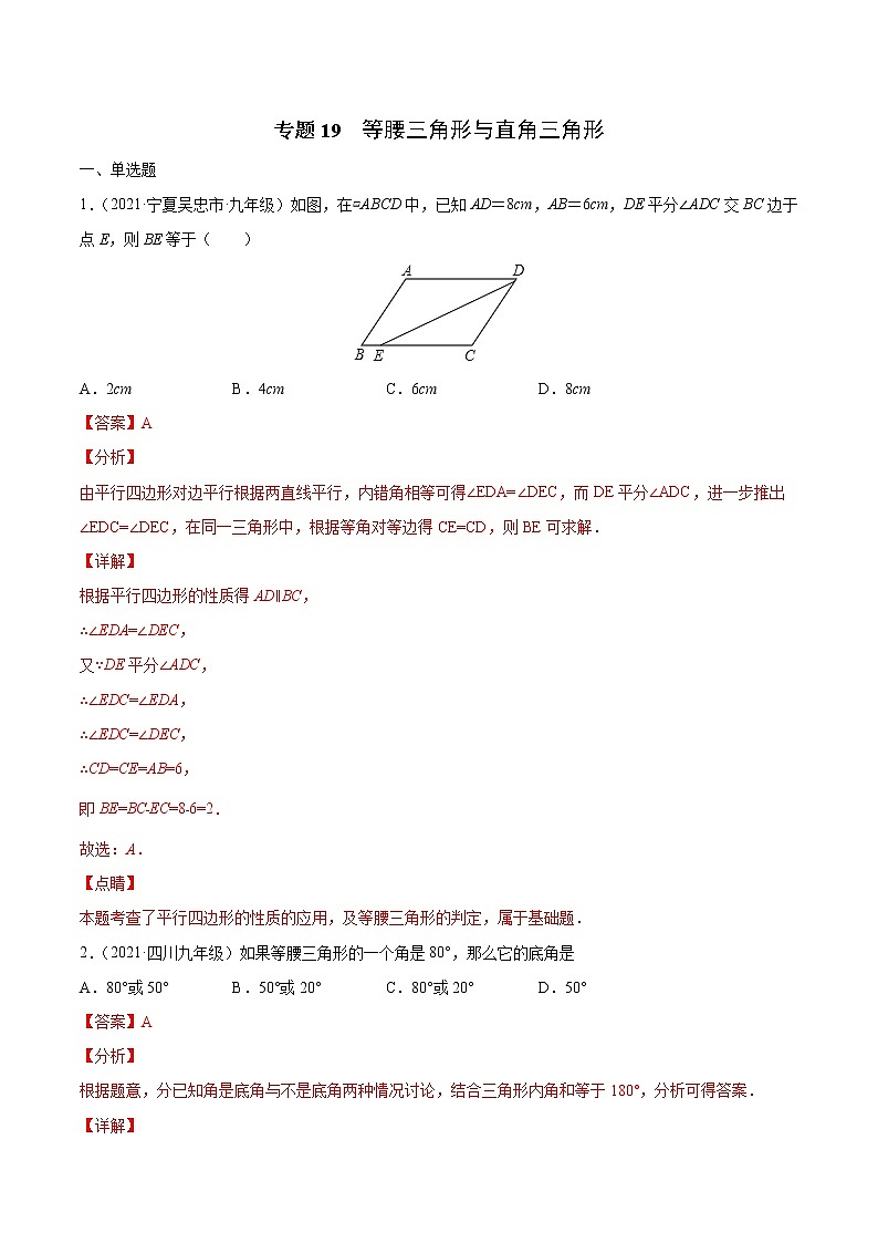 专题19 等腰三角形与直角三角形（专项训练）（解析版）第1页