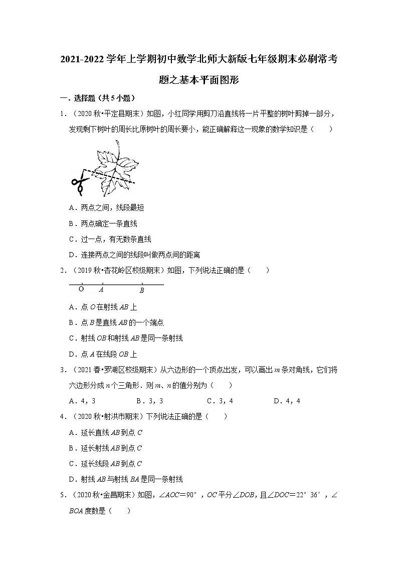 2021-2022学年上学期初中数学北师大新版七年级期末必刷常考题之基本平面图形第1页
