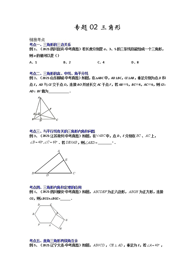 【假期知识回顾】专题02  三角形-2021-2022学年上学期八年级数学(人教版)01