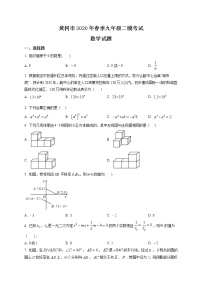 精品解析：2020年湖北省黄冈市九年级二模数学试题（解析版+原卷版）