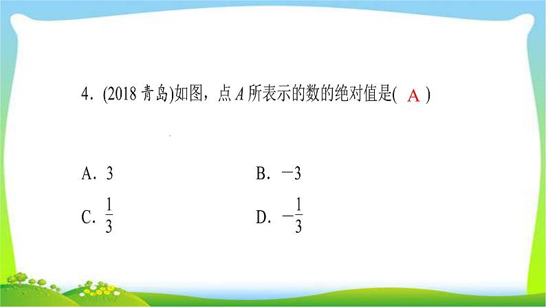 中考数学突破复习第一章数与式完美课件PPT第5页