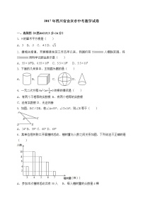 四川省宜宾市2017年中考数学试题（Word版,含解析）