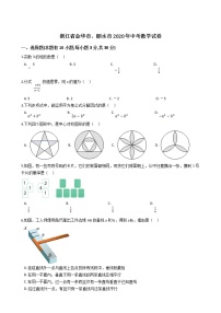 2020年中考真题-浙江金华、丽水-word解析