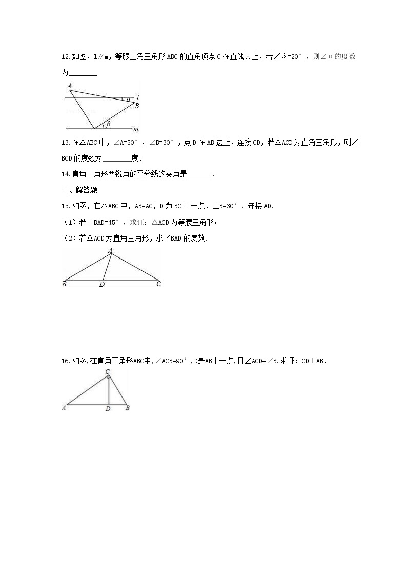 2022年湘教版数学八年级下册1.1《直角三角形的性质与判定（Ⅰ）》课时练习（含答案）03