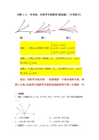 专题4.21 单双角、多角平分线模型（提高篇）（专项练习）-2021-2022学年七年级数学上册基础知识专项讲练（人教版）