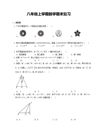 八年级上学期数学期末复习