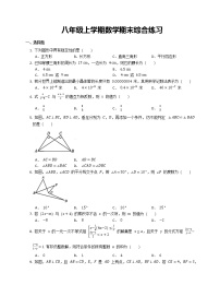 八年级上学期数学期末综合练习