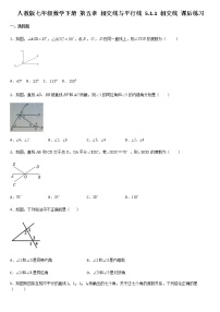 初中数学人教版七年级下册5.1.1 相交线综合训练题