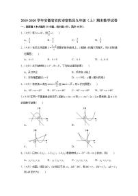 2019-2020学年安徽省安庆市宿松县九年级（上）期末数学试卷