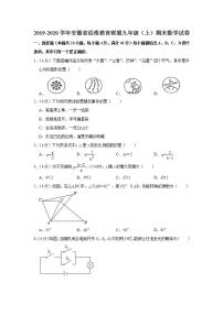 2019-2020学年安徽省沿淮教育联盟九年级（上）期末数学试卷