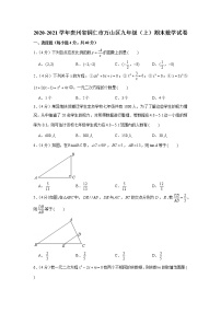 2020-2021学年贵州省铜仁市万山区九年级（上）期末数学试卷