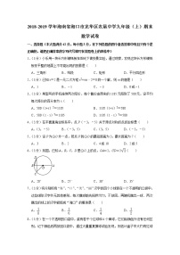 2018-2019学年海南省海口市龙华区农垦中学九年级（上）期末数学试卷