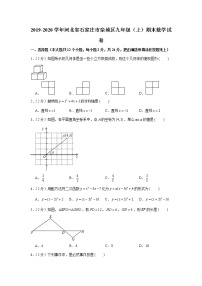 2019-2020学年河北省石家庄市栾城区九年级（上）期末数学试卷