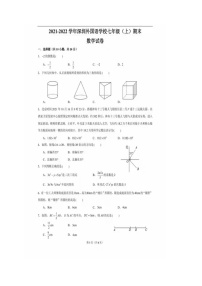 广东省深圳市深圳外国语学校2021-2022学年七年级上学期期末数学试卷（无答案）