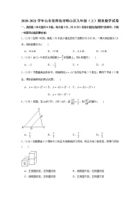 2020-2021学年山东省青岛市崂山区九年级（上）期末数学试卷