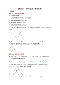 专题12.2 全等三角形（专项练习）-2021-2022学年八年级数学上册基础知识专项讲练（人教版）