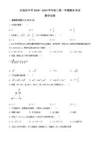 西藏达孜中学2019届九年级上学期期末考试数学试题