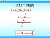 人教版數(shù)學(xué)《平行線的性質(zhì)本節(jié)綜合與測(cè)試》PPT課件