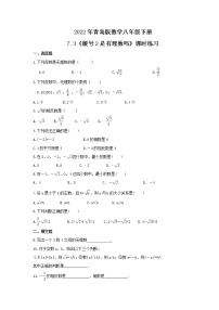 初中数学青岛版八年级下册7.3  根号2是有理数吗精品达标测试