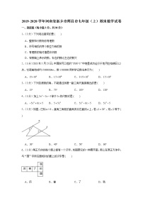 2019-2020学年河南省新乡市辉县市七年级（上）期末数学试卷