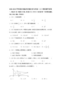 2020-2021学年浙江省温州市瑞安市七年级（上）期末数学试卷