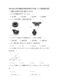 2020-2021学年安徽省合肥市庐阳区八年级（上）期末数学试卷