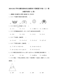 2020-2021学年安徽省淮南市志诚教育十校联盟八年级（上）期末数学试卷（a卷）