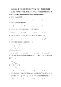 2018-2019学年河南省平顶山市八年级（上）期末数学试卷