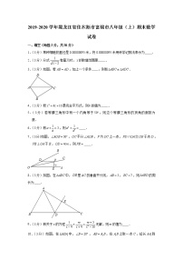 2019-2020学年黑龙江省佳木斯市富锦市八年级（上）期末数学试卷