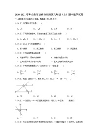 2020-2021学年山东省济南市长清区八年级（上）期末数学试卷