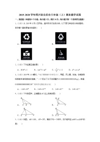 2019-2020学年四川省自贡市八年级（上）期末数学试卷