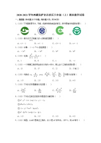 2020-2021学年西藏拉萨市达孜区八年级（上）期末数学试卷