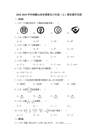 2018-2019学年西藏山南市错那县八年级（上）期末数学试卷